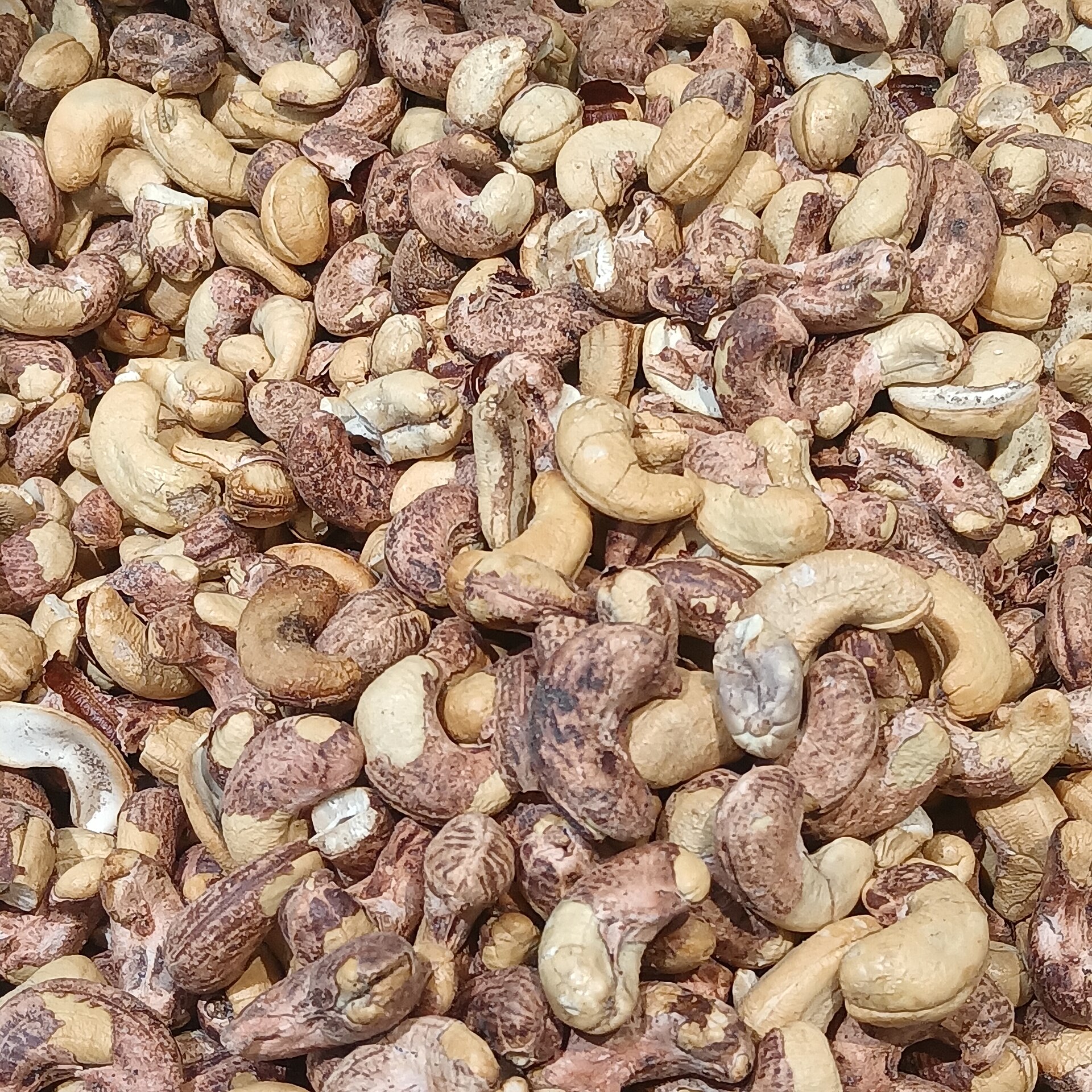 腰果 Cashew nuts